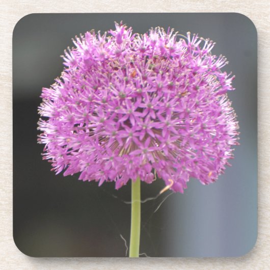 Bloemen voor allen onderzetter (Voorkant)