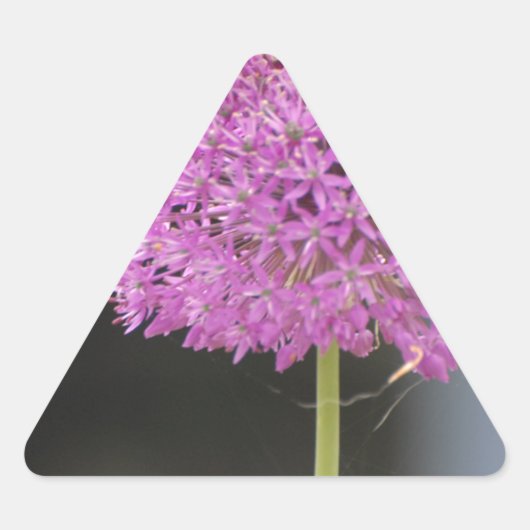 Bloemen voor allen sticker (Voorkant)