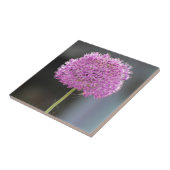 Bloemen voor allen tegeltje (Zijkant)