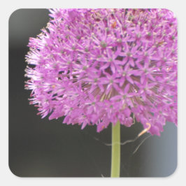 Bloemen voor allen vierkante sticker