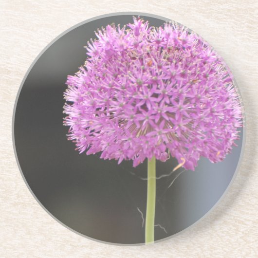 Bloemen voor allen zandsteen onderzetter (Voorkant)