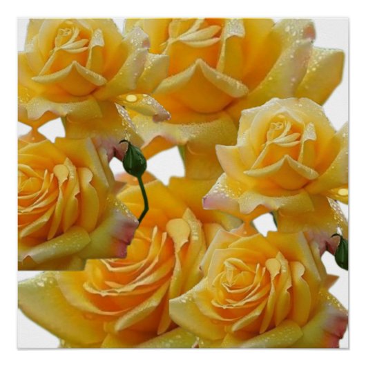 Bloemen voor huizen perfect poster (Voorkant)