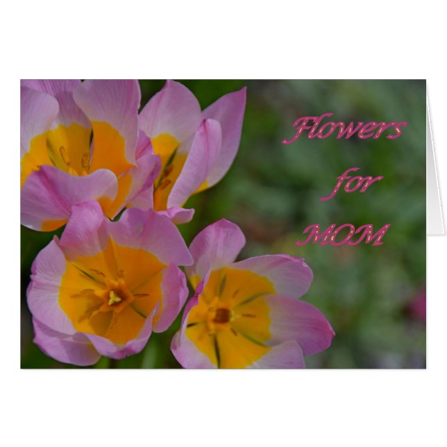 Bloemen voor mam (Voorkant Horizontaal)