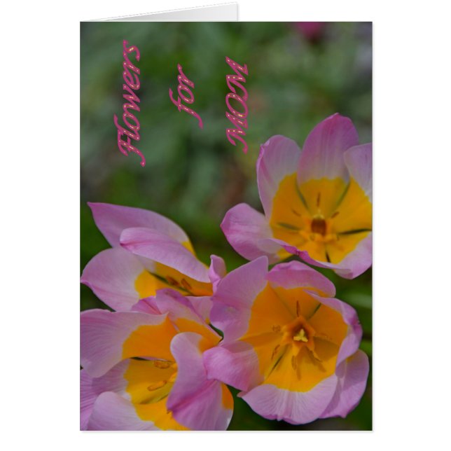 Bloemen voor mam (Voorkant)