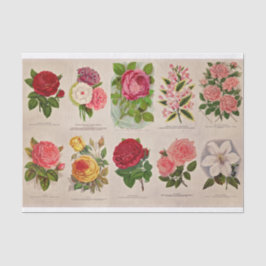 bloemen voor ontledings- of inkuilpapier tissuepapier