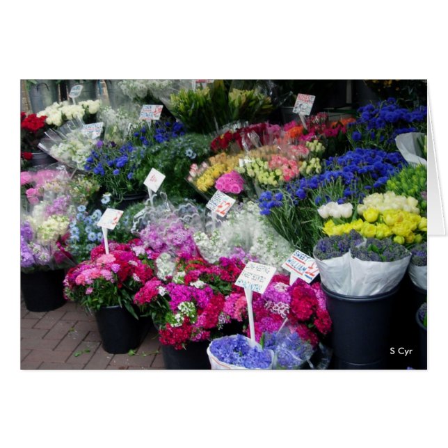 bloemen voor verkoop, S Cyr (Voorkant Horizontaal)