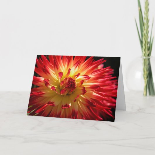 Bloemen Vuurwerk Kaart (Voorkant)