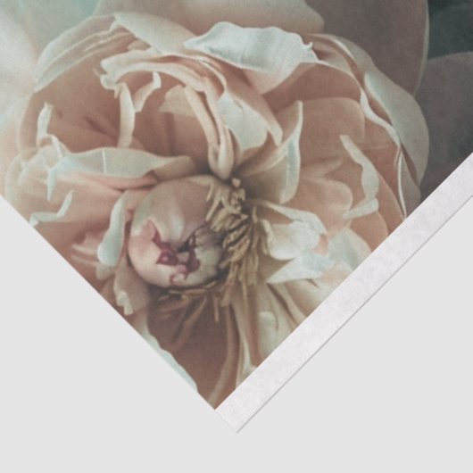 Bloemen  Waterverf Effect Pioenrozen Decoupage Tissuepapier (Detail)