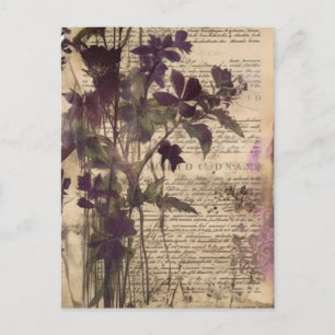 Bloemen Waterverf Tijdschrift Pagina Briefkaart