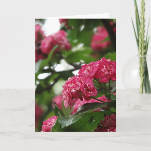 Bloemen Wenskaart, standaard Kaart (Voorkant)