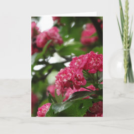 Bloemen Wenskaart, standaard Kaart