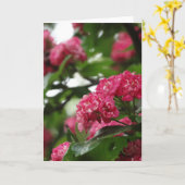 Bloemen Wenskaart, standaard Kaart (Gele Bloem)