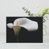 Bloemen | White Calla Lily Bedankkaart (Staand voorkant)