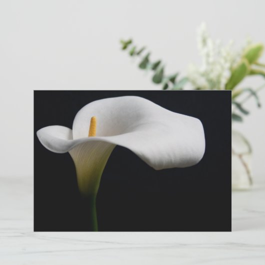 Bloemen | White Calla Lily Bedankkaart (Staand voorkant)