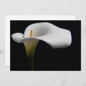 Bloemen | White Calla Lily Bedankkaart (Voorkant / Achterkant)