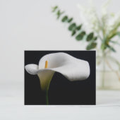 Bloemen | White Calla Lily Briefkaart (Staand voorkant)