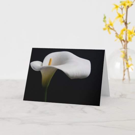 Bloemen | White Calla Lily Kaart (Gele Bloem)