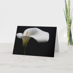 Bloemen   White Calla Lily Kaart