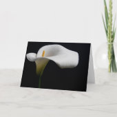 Bloemen | White Calla Lily Kaart (Voorkant)