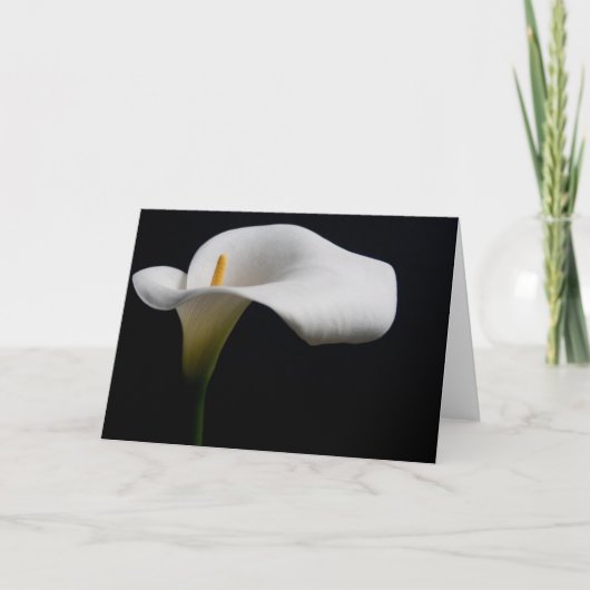 Bloemen | White Calla Lily Kaart (Voorkant)