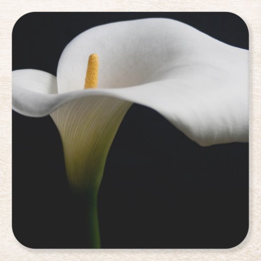 Bloemen | White Calla Lily Kartonnen Onderzetters (Voorkant)