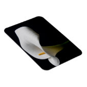 Bloemen | White Calla Lily Magneet (Rechterzijde)