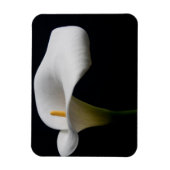 Bloemen | White Calla Lily Magneet (Verticaal)