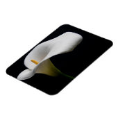 Bloemen | White Calla Lily Magneet (Linkerzijde)