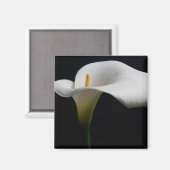 Bloemen | White Calla Lily Magneet (Voorkant / Achterkant)