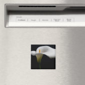 Bloemen | White Calla Lily Magneet (Insitu (Vaatwasser))