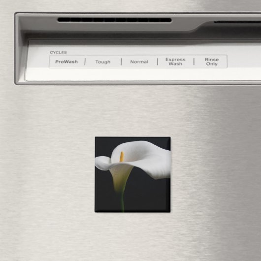 Bloemen | White Calla Lily Magneet (Insitu (Vaatwasser))