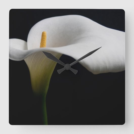 Bloemen | White Calla Lily Vierkante Klok (Voorkant)