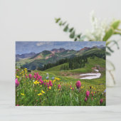 Bloemen | Wildbloemen Durango, Colorado Bedankkaart (Staand voorkant)