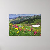 Bloemen | Wildbloemen Durango, Colorado Canvas Afdruk (Voorkant)