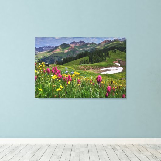 Bloemen | Wildbloemen Durango, Colorado Canvas Afdruk (Insitu (Houten vloer))