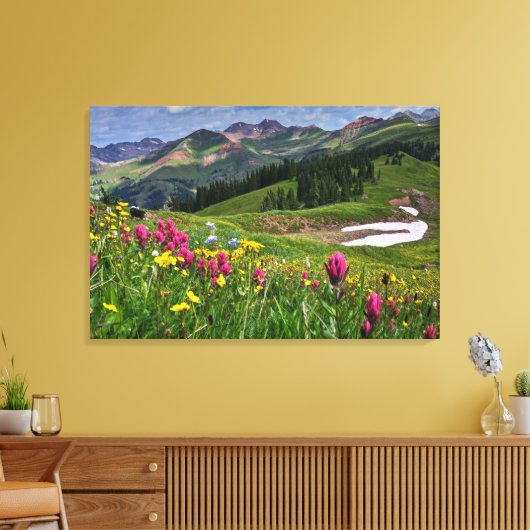 Bloemen | Wildbloemen Durango, Colorado Canvas Afdruk (Insitu (Woonkamer))
