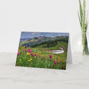 Bloemen   Wildbloemen Durango, Colorado Kaart