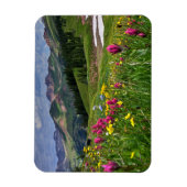 Bloemen | Wildbloemen Durango, Colorado Magneet (Verticaal)