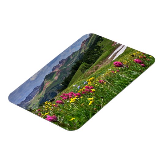 Bloemen | Wildbloemen Durango, Colorado Magneet (Linkerzijde)