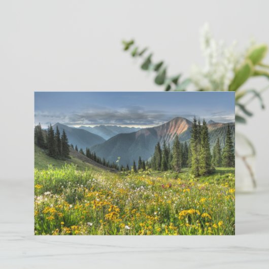 Bloemen | Wildbloemen Silverton Colorado Bedankkaart (Staand voorkant)