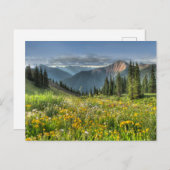 Bloemen | Wildbloemen Silverton Colorado Briefkaart (Voorkant / Achterkant)