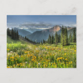 Bloemen | Wildbloemen Silverton Colorado Briefkaart (Voorkant)