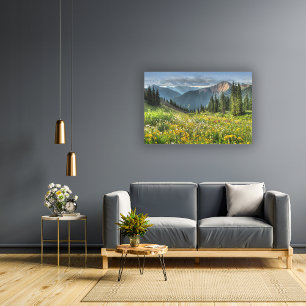 Bloemen Wildbloemen Silverton Colorado Canvas Afdruk