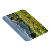 Bloemen | Wildbloemen Silverton Colorado Magneet (Rechterzijde)