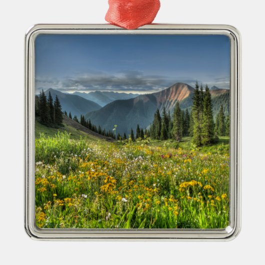 Bloemen | Wildbloemen Silverton Colorado Metalen Ornament (Voorkant)