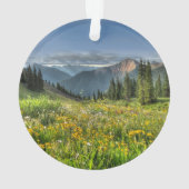 Bloemen | Wildbloemen Silverton Colorado Ornament (achterkant)