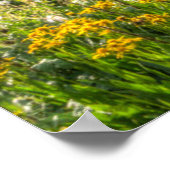 Bloemen | Wildbloemen Silverton Colorado Poster (Hoek)