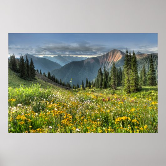 Bloemen | Wildbloemen Silverton Colorado Poster (Voorkant)