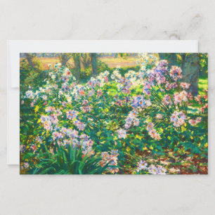 bloemen Windflowers illustratie
