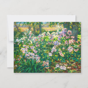 bloemen Windflowers illustratie Briefkaart